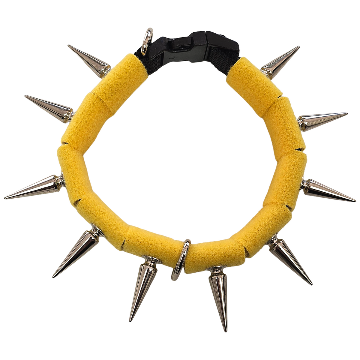 CoyoteCollar