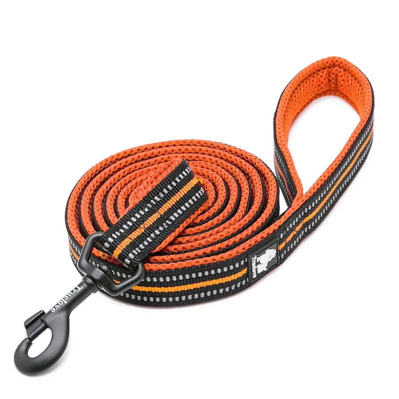 Truelove Reflective No-Pull Leash