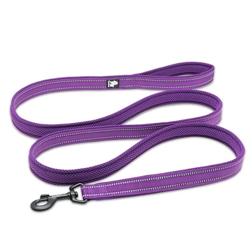 Truelove Reflective No-Pull Leash