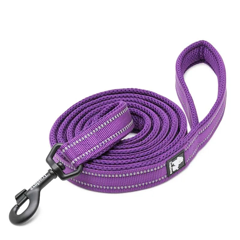Truelove Reflective No-Pull Leash