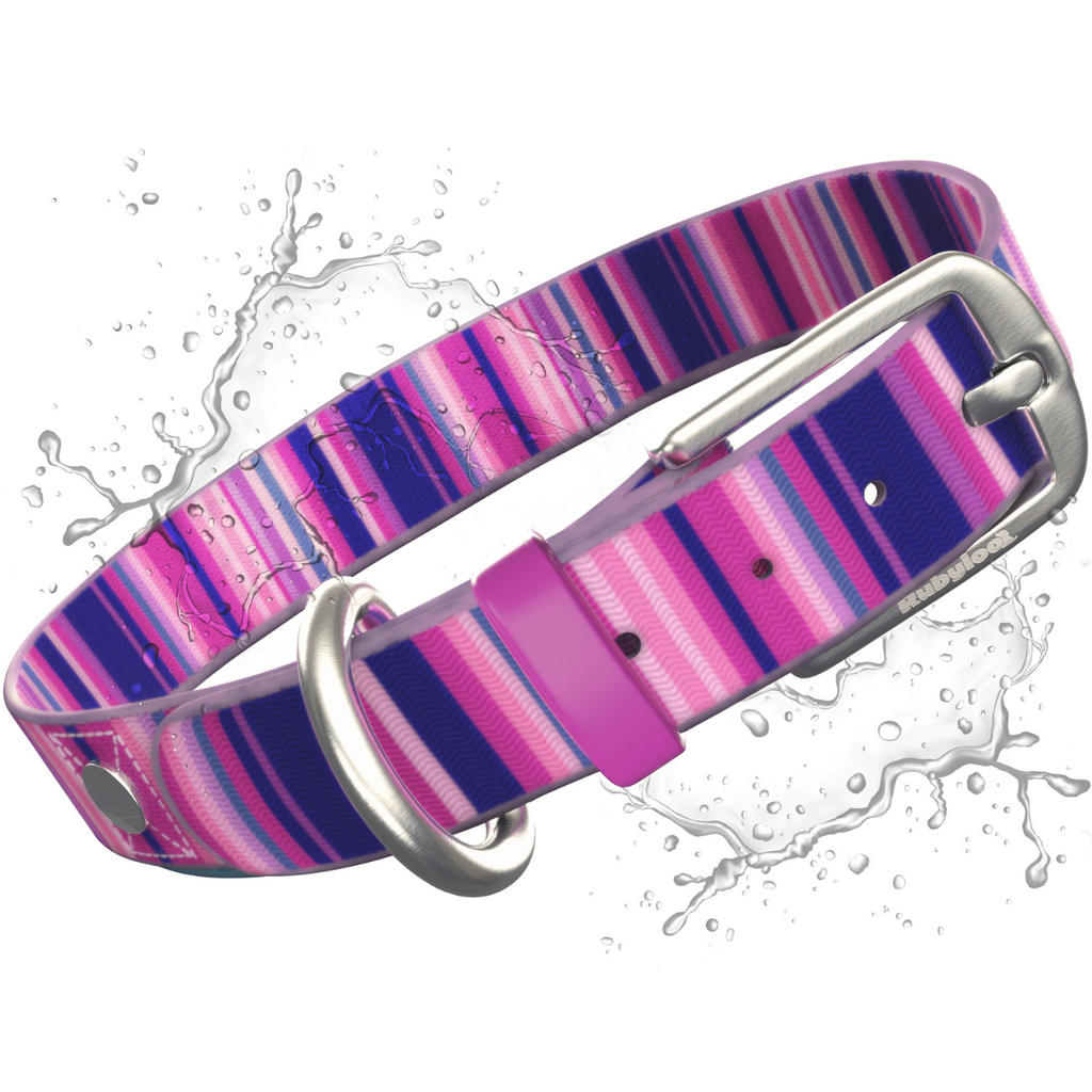 Waterproof Dog Collars – Washable Dog Collar, Stink-Proof & Durable