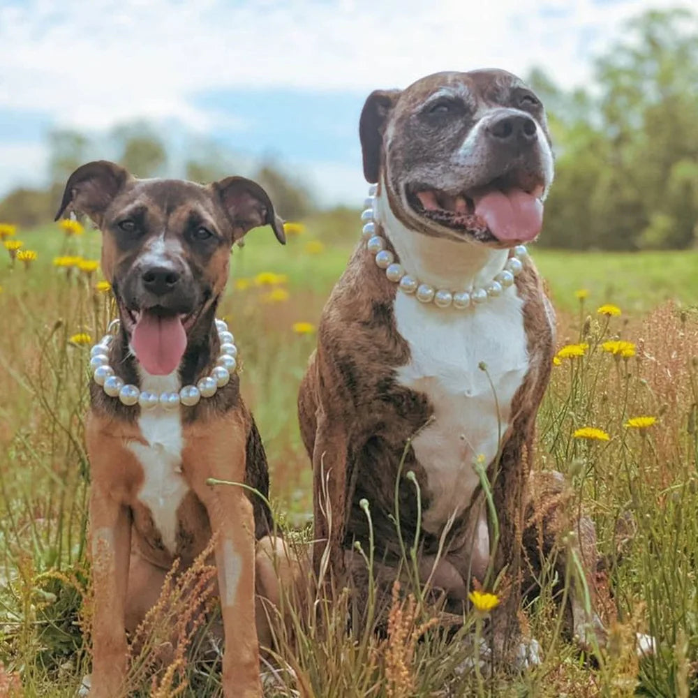 Pearl Collar Necklace for Dogs